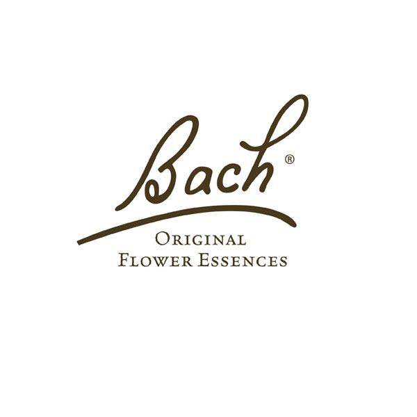 Bach Bloesem